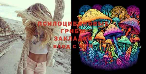 шишки Армянск