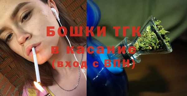 шишки Армянск